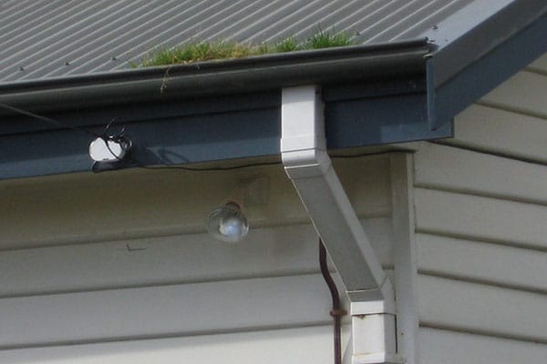 application-of-fascia